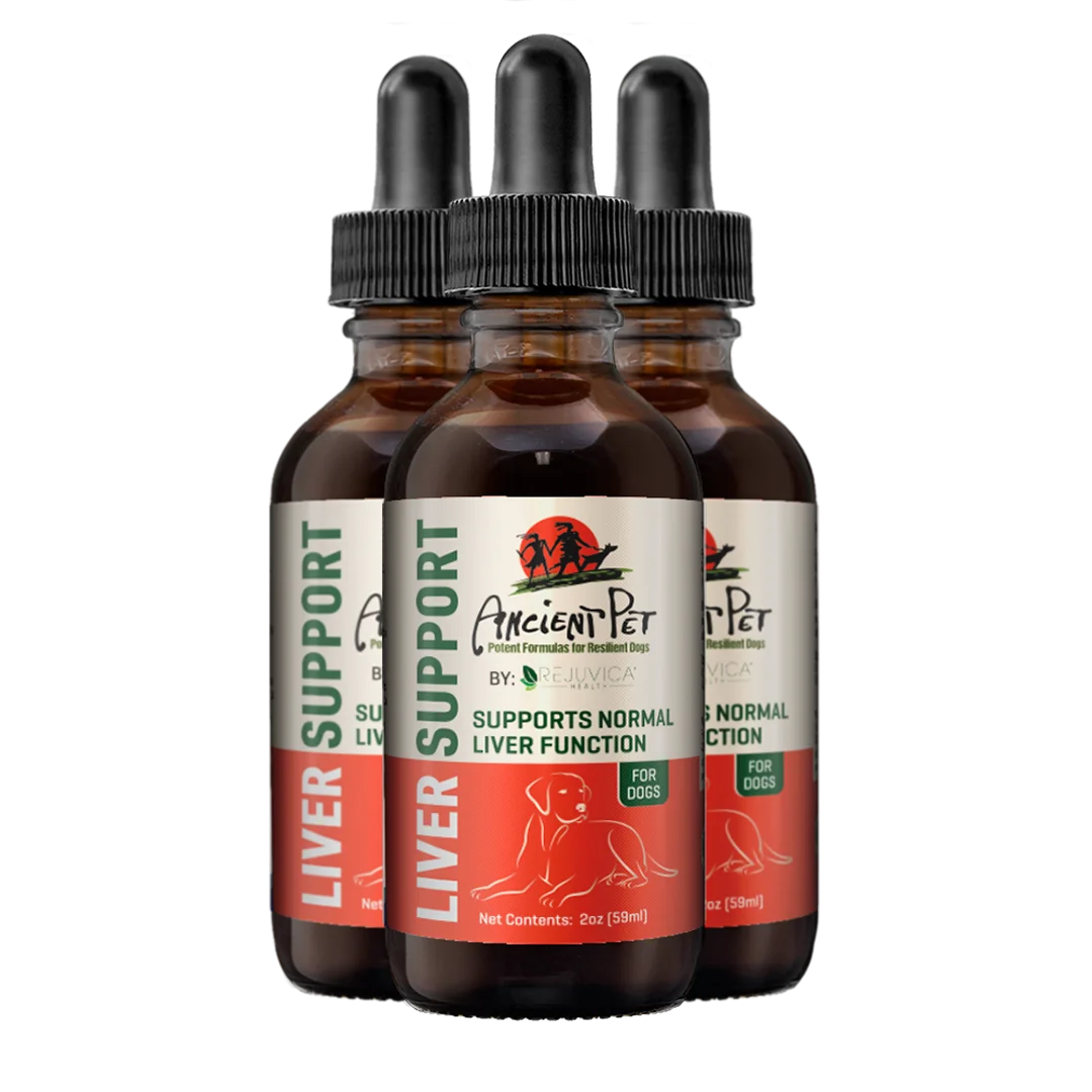 Ancient Pet Liver - Advanced Liver Support Supplement for Dogs - Liquid Delivery for Better Absorption - Milk Thistle, Dandelion, Artichoke & More! - 3 Pack