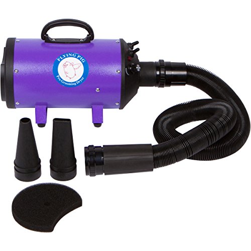 Flying Pig High Velocity Dog Pet Grooming Dryer w/Heater (Model: Flying One, Purple)