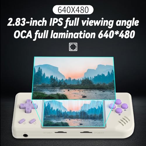 RG28XX Handheld Game Console Retro 2.83-inch Screen Video Game Player 64G TF Card Preinstalled 5000+ Games 3100mAh Battery(Black Transparent)