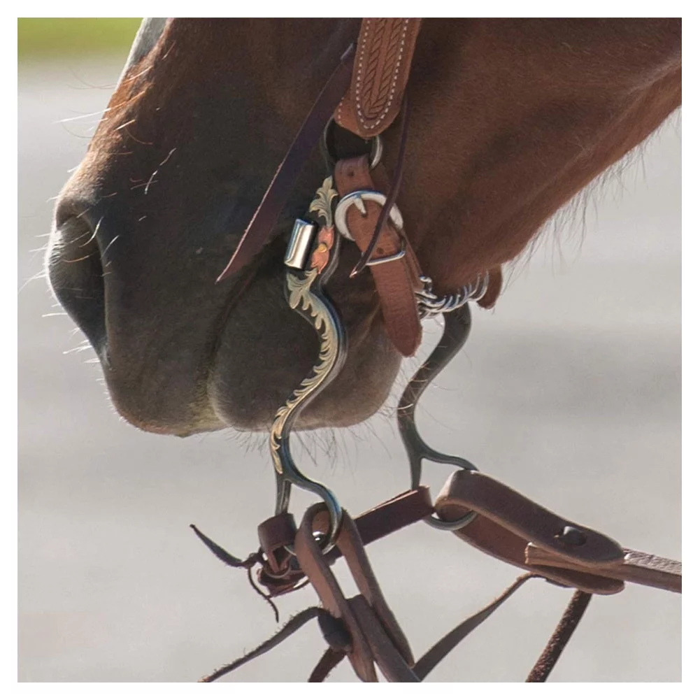 Classic Equine 8 in Correction Cavalry Shank  8IN