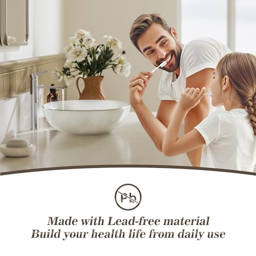 Phiestina Brushed Gold One Hole High Bathroom Vessel Sink Faucet, Single Hole Single Handle Tall Bathroom Faucet, with Pop Up Drain and Water Supply Line,FH01-BG-V