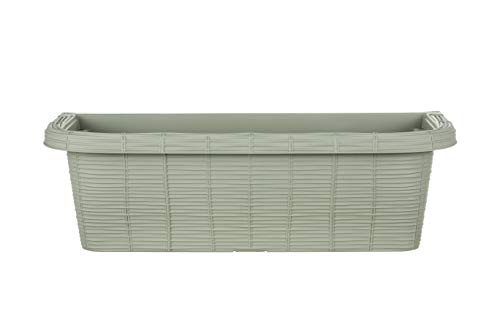 Apollo Exports International AP-30312 23.5