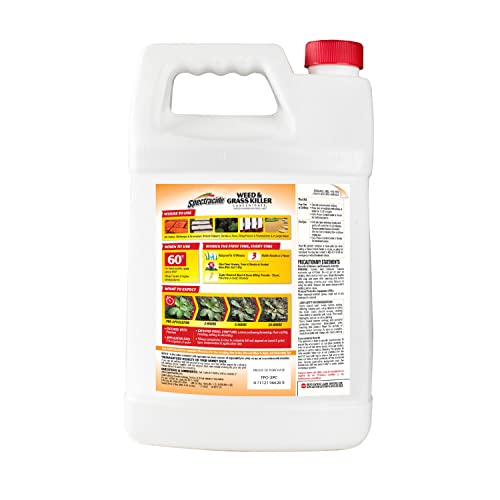 Spectracide Weed & Grass Killer Concentrate, Use On Driveways, Walkways and Around Trees & Flower Beds, 64 fl Ounce