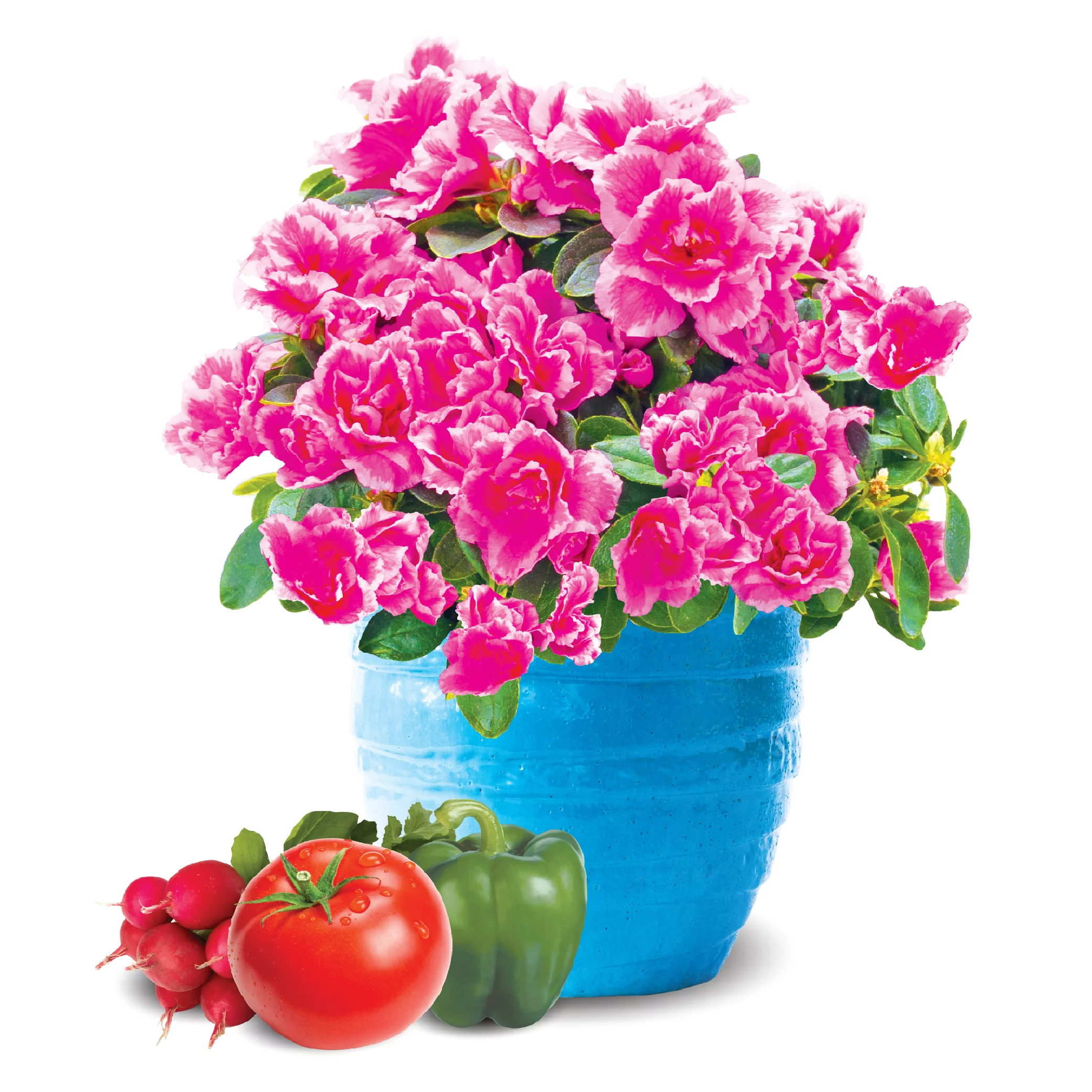 Burpee Natural & Organic 8 qt Premium Potting Mix, 4 pack