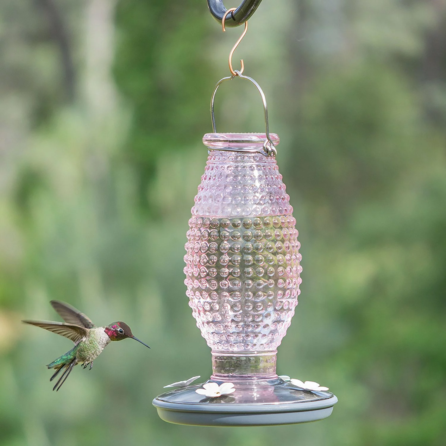 Perky Pet Vintage Glass Hummingbird Feeder (Cranberry Pink)