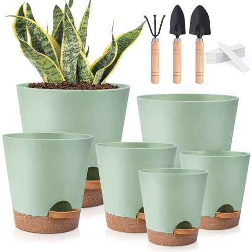 Plant Pots Indoor 8/7/6.5/6/5.5/5 Inch, Self Watering Pots for Indoor Plants, Self Watering Planters with Drainage Hole and Saucers, Plastic Flower Pots for Succulents, Cactus, African Violet