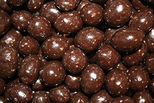 Bayside Candy Dark Chocolate Collection Dark Chocolate Covered Peanuts (2LBS)