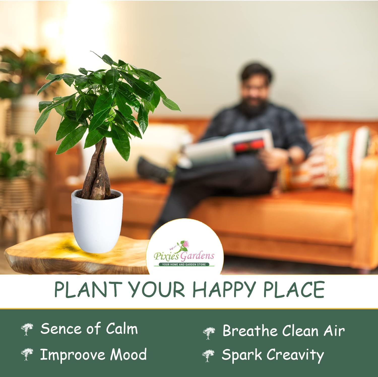 Pixies Gardens Nandina Firepower 2 Gallon