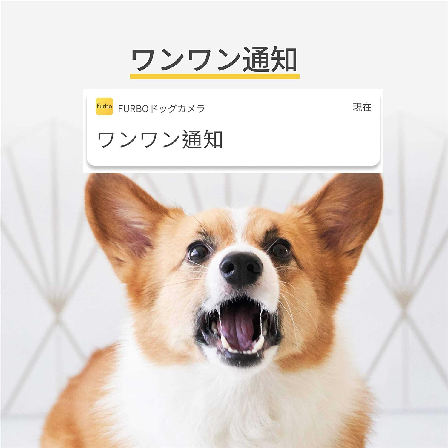 Furbo 360° Dog Camera Rotating 360° View Wide-Angle Pet Camera with Treat Tossing - Pet Supplies online store