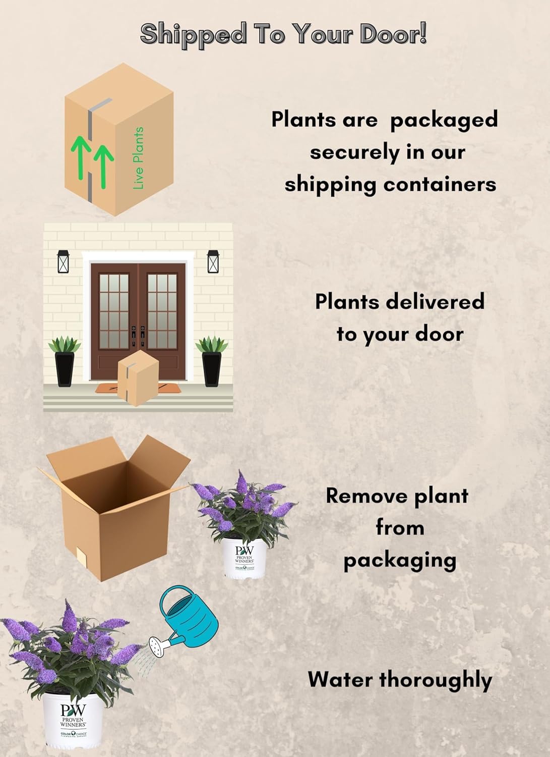 Pugster Amethyst 2 Gal. Buddleia, Purple Blooms