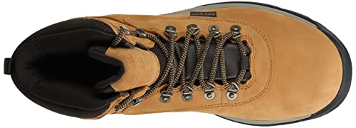 Timberland Men's White Ledge Mid Waterproof Hiking Boot