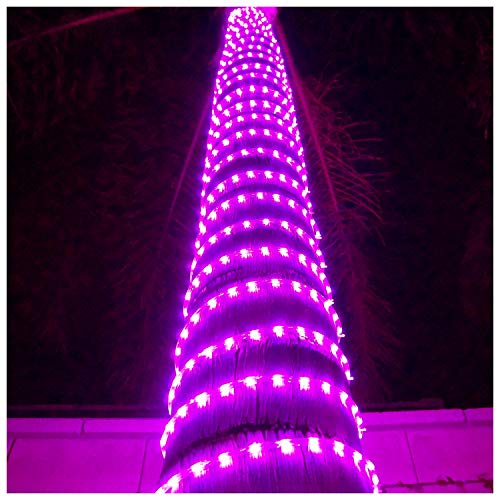Russell Decor LED Rope Lights Festival Holiday Party Seasonal Christmas Decoration 30ft - 200ft Customized Available (Cool White, 50)