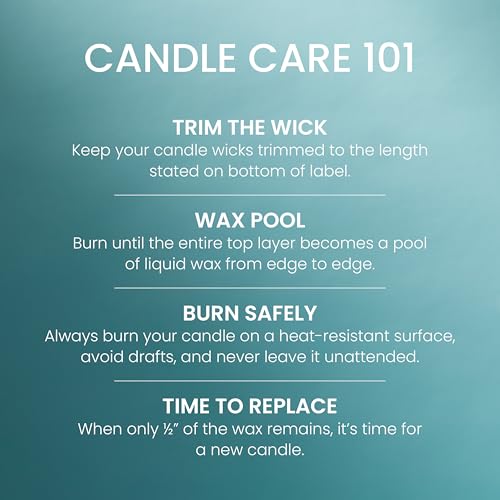 Yankee Candle Balsam & Cedar, Holiday Scented Candle, 22oz Large Jar with up to 150 Hour Burn Time, Giftable