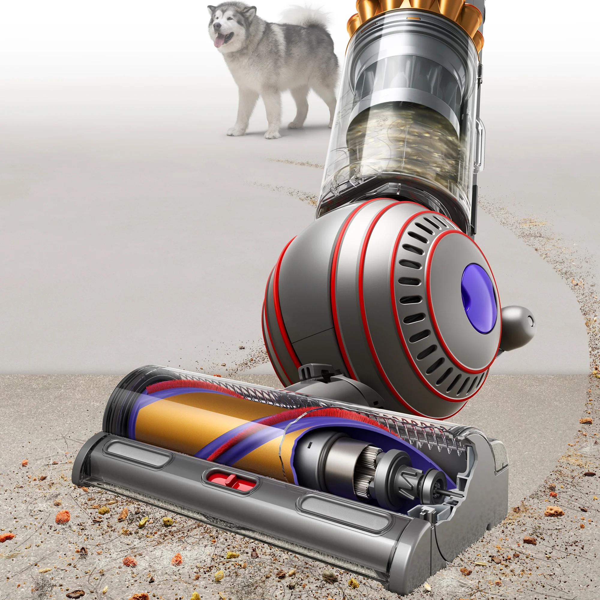 Dyson Ball Animal 3 Complete Upright Vacuum | Gold | New