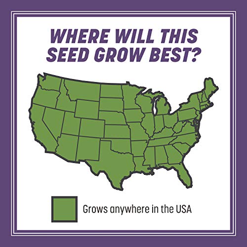 Pennington Smart Seed Dense Shade Grass Mix Bag 7 lb