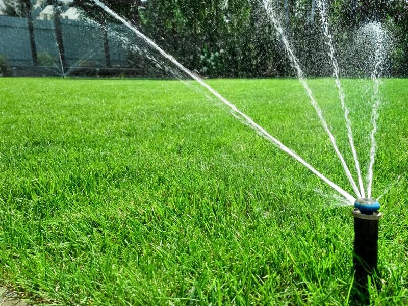 Tall-Fescue 50 LB Bag of Seed. Will Grow in Both Full Sun and Partial Shade Areas. Each Bag Covers 10,000 Square Feet When Overseeding Your Lawn