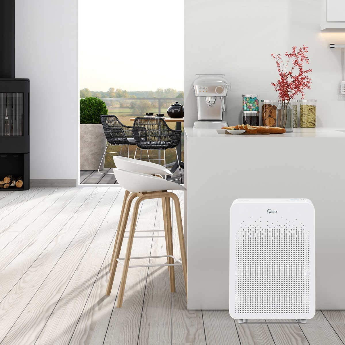 Winix Air Cleaner with PlasmaWave Technology (C545)