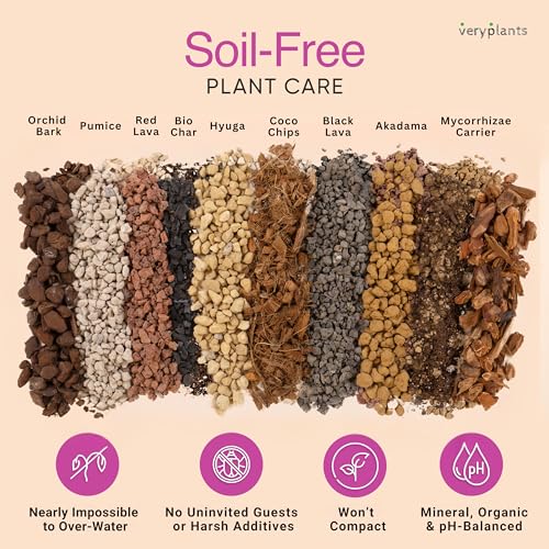 Molly's Succulent Mix - Premium Gritty Soilless Potting Mix for Succulents, Cactus and Bonsai - Contains Akadama, Hyuga, Bark Fines, Pumice, Lava Rock, Mycorrhizae 5 Dry Quarts