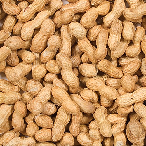 Wild Delight Inshell Peanuts, 5 lb