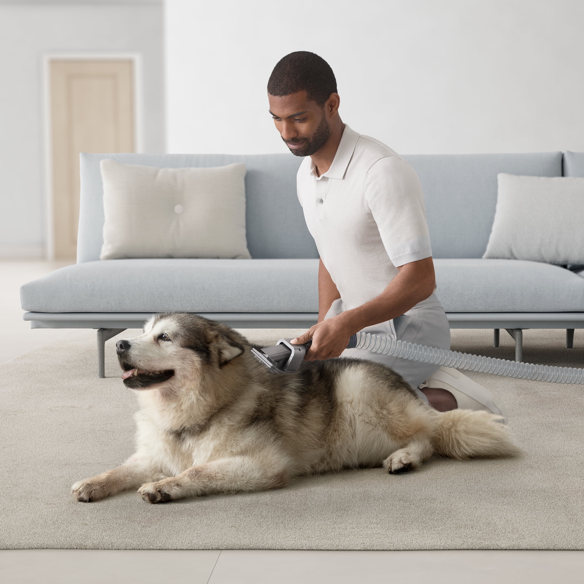 Dyson Ball Animal 3 Complete Upright Vacuum | Gold | New