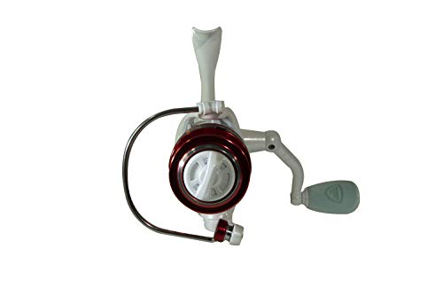 Favorite Shay Bird Spinning Fishing Rod, Reel & Combo | Lightweight Fishing Rod, Reel & Combo with Fast Action