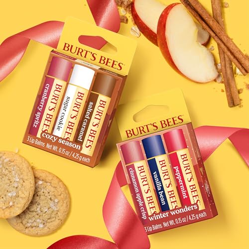 Burt's Bees Christmas Gifts, 4 Lip Balms Stocking Stuffers Products, Beeswax Bounty Fruit Mix - Watermelon, Pomegranate, Dragonfruit Lemon & Sweet Peach (4-Pack)