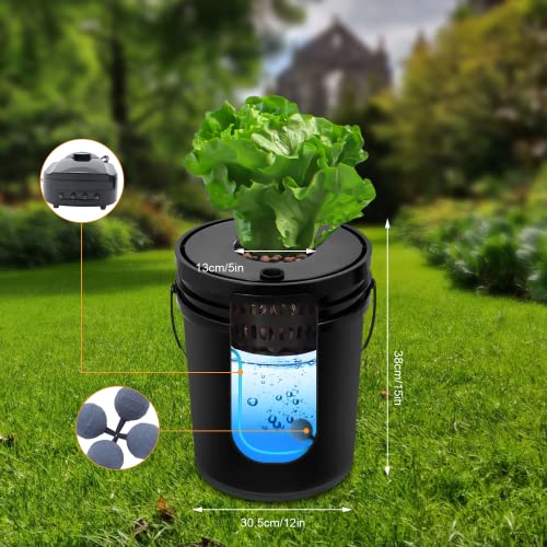 DWC Hydroponics Growing System, 5 Gallon 1 Bucket Deep Water Culture Recirculating Drip Garden System with Multi-Purpose Air Hose, Air Pump, and Air Stone