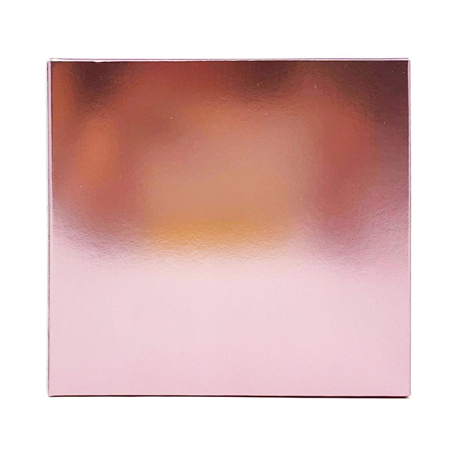 Her Secret Game by Antonio Banderas