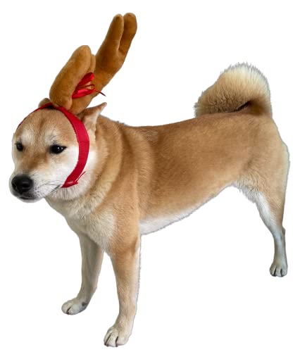 ComfyCamper Reindeer Antler Dog Halloween Costume - Headband Cosplay Christmas Small Medium Large X-Large Puppy Cat, XL