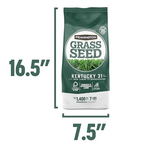 Pennington Kentucky 31 Tall Fescue Penkoted Grass Seed 40 lbs