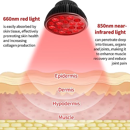 Red Light Therapy with Clip, Infrared Light Therapy Lamp for Body and Face Use, 660nm Red and 850nm Near Infrared Red Light Therapy Lamp, Red Light Therapy Device with Adjustable Socket