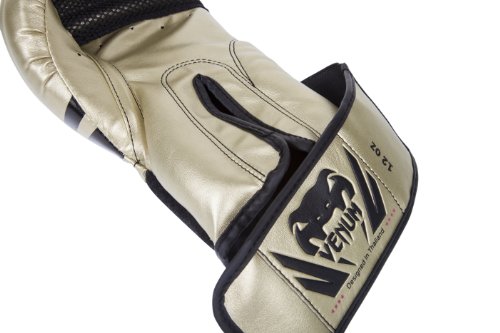 Venum Challenger 2.0 Boxing Gloves