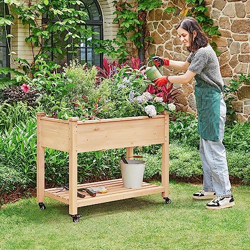 Yaheetech 42x23x33in Wooden Raised Garden Bed with Wheels Horticulture Flower Planter Boxes Elevated Vegetables Growing Bed for Grow Herbs and Vegetables, 2 PCS