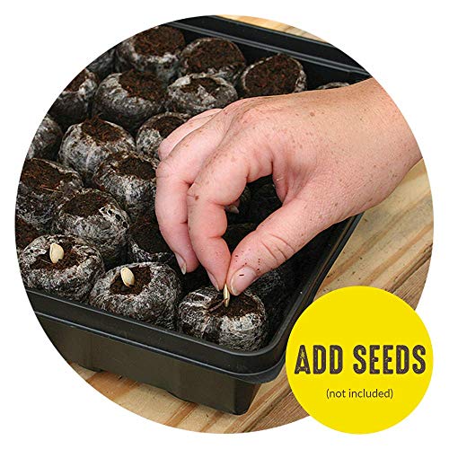 Jiffy Seed Starting Tray Kit, 72 Cell 36mm Peat Pellets with Bonus, 2 Pack, 144Pellets Total