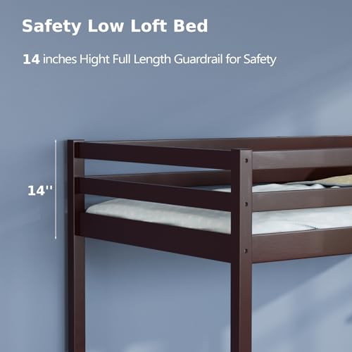 VINGLI Loft Bed with Slide, Twin, Space Saving Kids Low Loft Bed with Guardrail and Ladder, Pine Wood and Sturdy Bed Frame for Boys and Girls, White