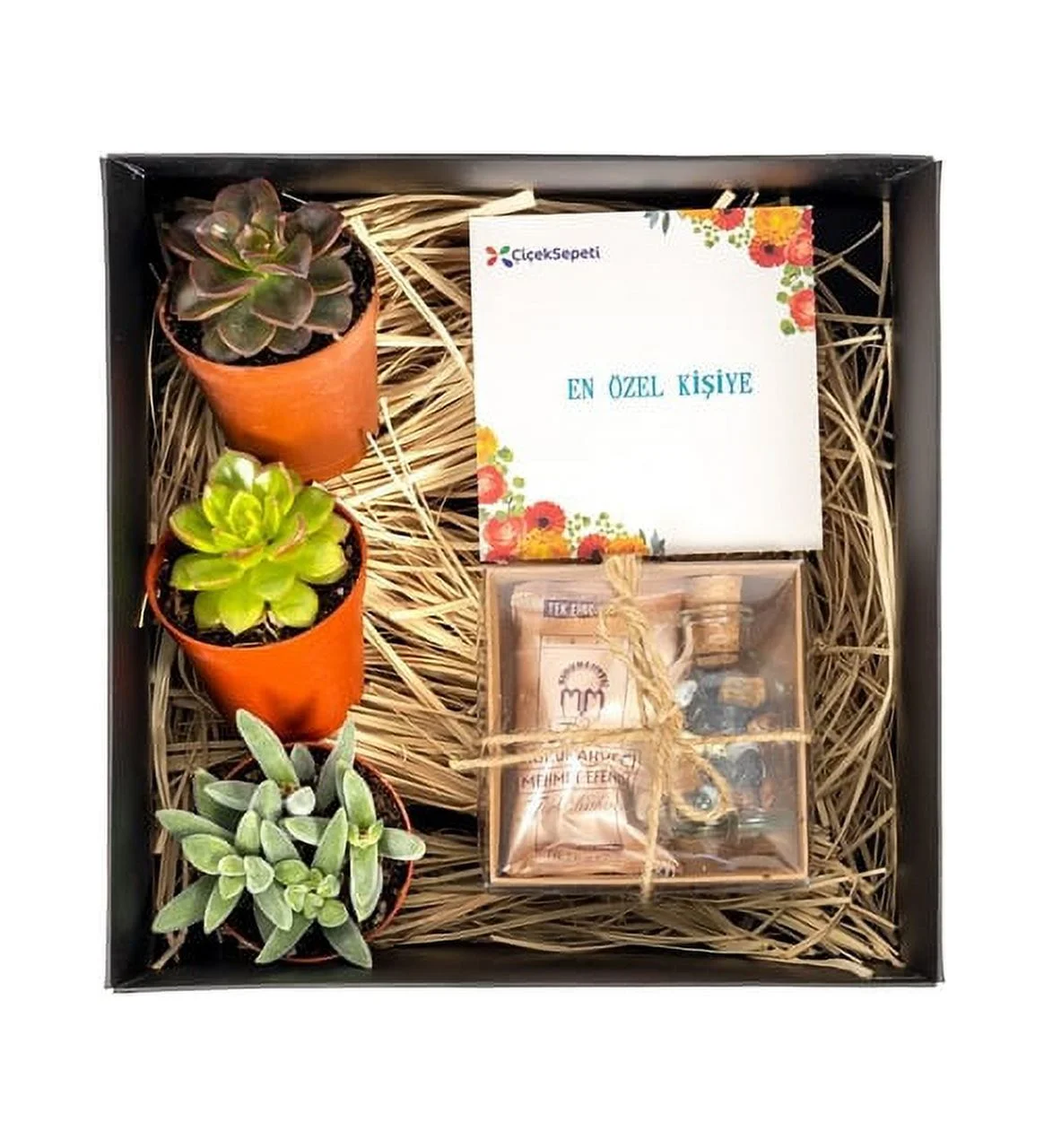 Trio Sukulent Set with coffee and chocolate set