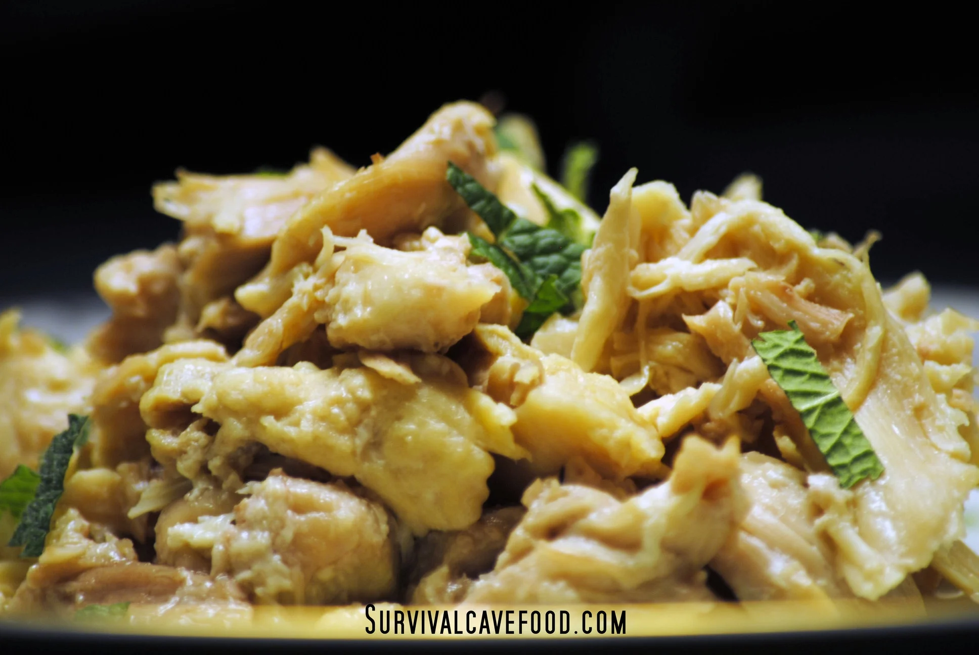 Survival Cave Food SCFTKY Canned Turkey- 12 cans - 1 case