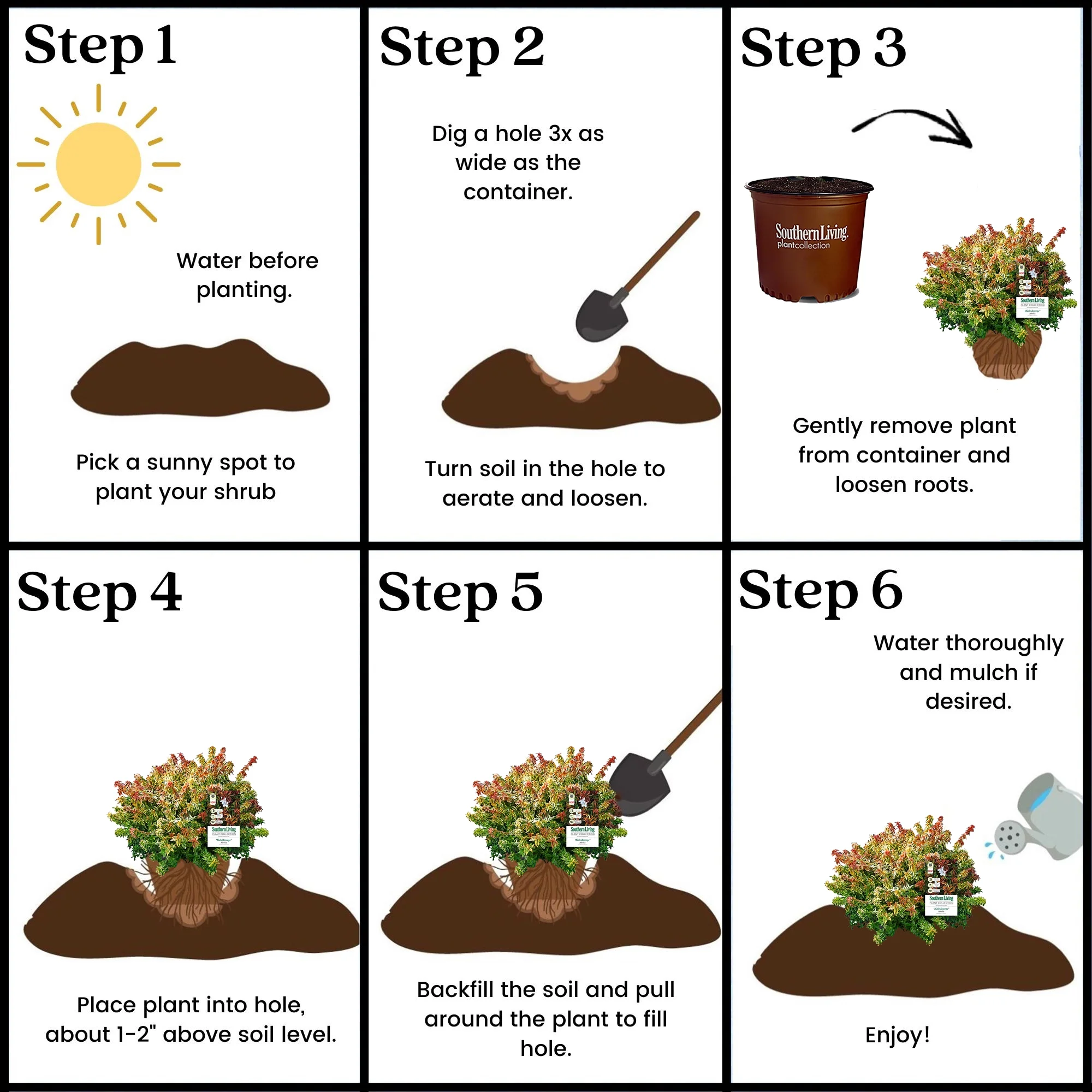 Southern Living Plant Collection Abelia Kaleidoscope Live Shrub (2 Gallon)