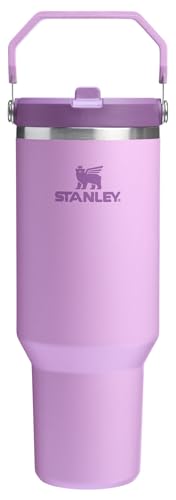 Stanley IceFlow Flip Straw Tumbler with Handle 30 oz | Twist On Lid and Flip Up Straw | Leak Resistant Water Bottle | Insulated Stainless Steel |BPA-Free | Lilac