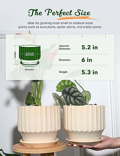 AISBUGUR Plant Pots 6 inch Set of 2 Ceramic Pots for Indoor Plants with Drainage Hole and Saucer Unique Crackle Glaze Design Garden Flower Pots Come with Drainage Nets, Creamy White
