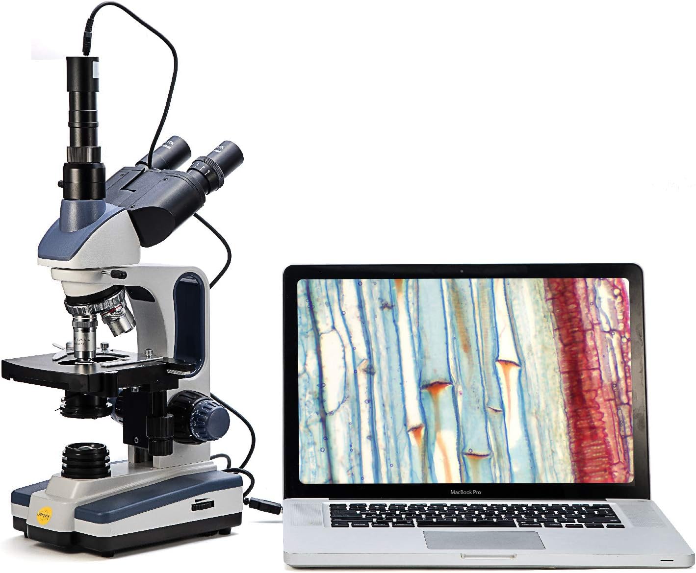 Swift Trinocular Compound Microscope SW350T,40X-2500X Magnification,Siedentopf Head,Research-Grade,Two-Layer Mechanical Stage,1.3mp Camera and Software Windows and Mac Compatible