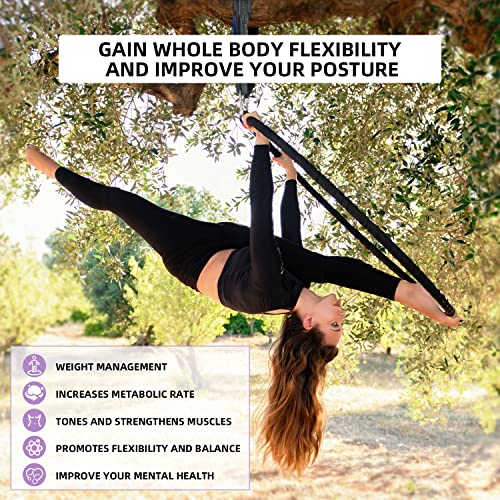 Aerial Hoop Set - Professional Aerial Lyra Hoop Equipment - Fully Strength Tested 500lbs Aerial Ring with Rigging Kit, Tape, Storage Bag