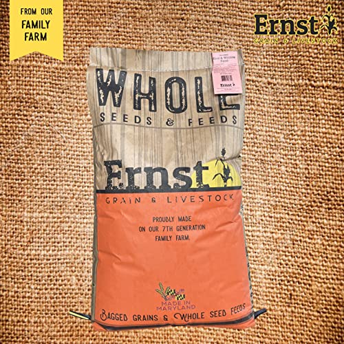 Ernst Grain's Oats, Feed Grade, 50 lb