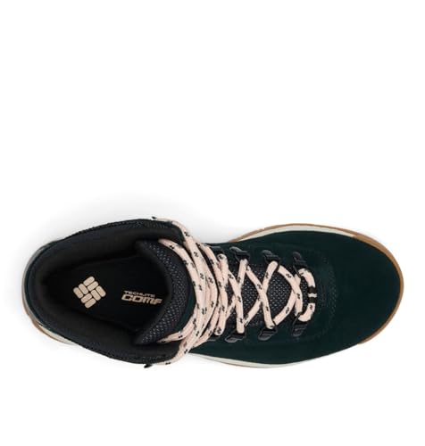 Columbia Women's Newton Ridge Plus Waterproof Amped Hiking Boot