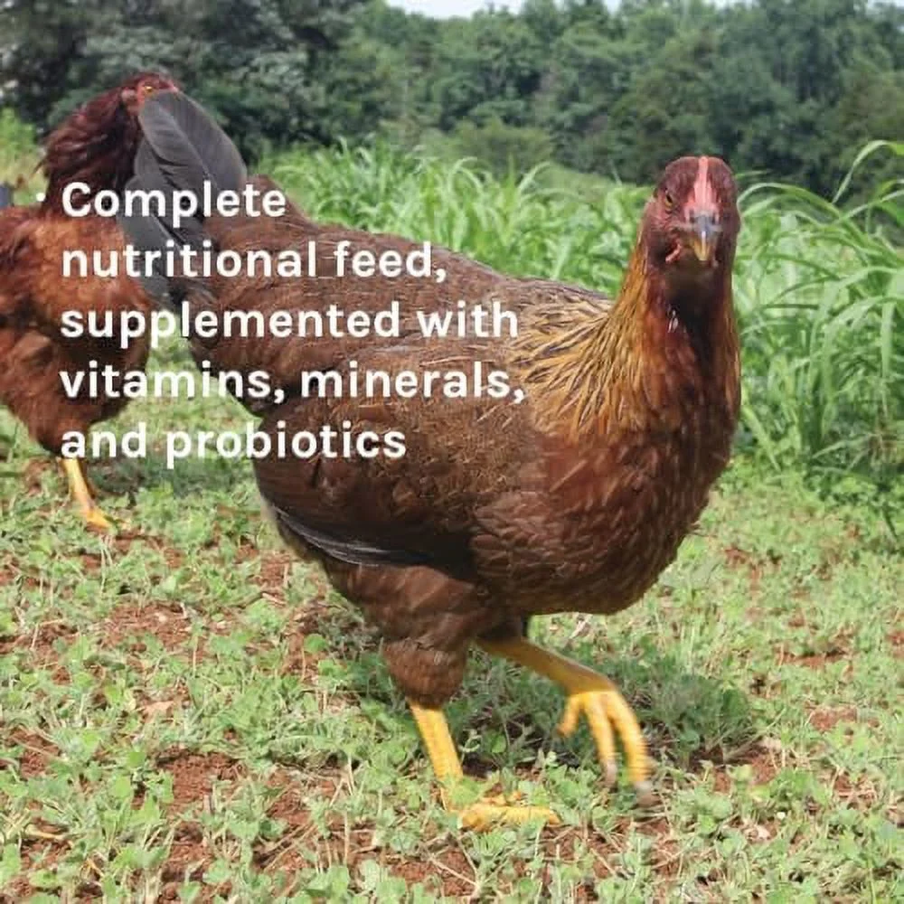 New Country Organics | Wheat-Free Chicken Feed 25lbs | Layer Feed for Laying Hens | Gluten-Free and Soy-Free | 17% Protein | Certified Organic and Non-GMO Chicken Food | 25 lbs Bag