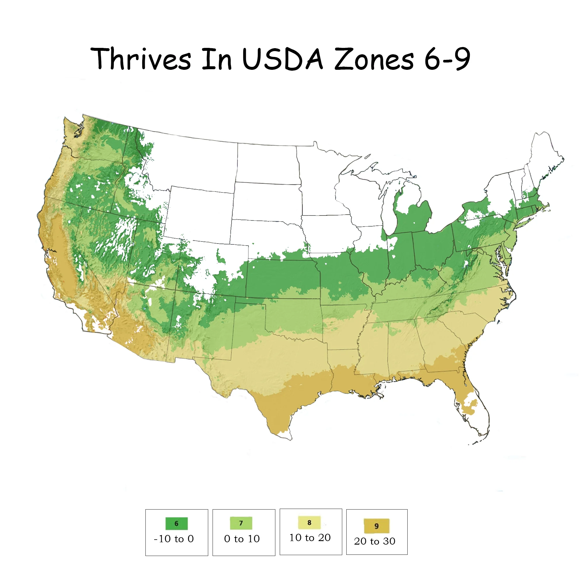 Southern Living Plant Collection Abelia Kaleidoscope Live Shrub (2 Gallon)