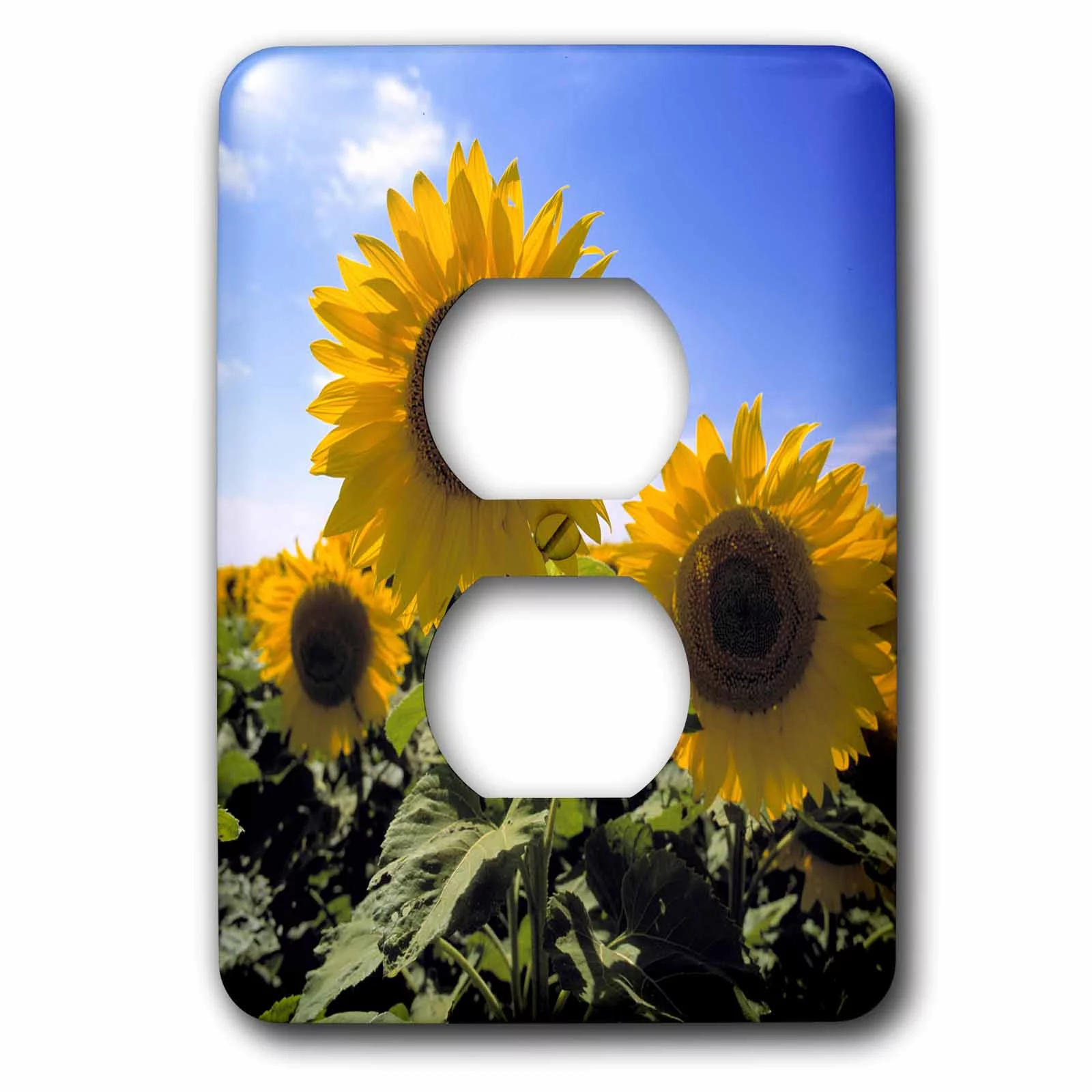 North Dakota, Sunflowers in Cass County - US35 RER0013 - Ric Ergenbright 2 plug outlet cover lsp-93338-6