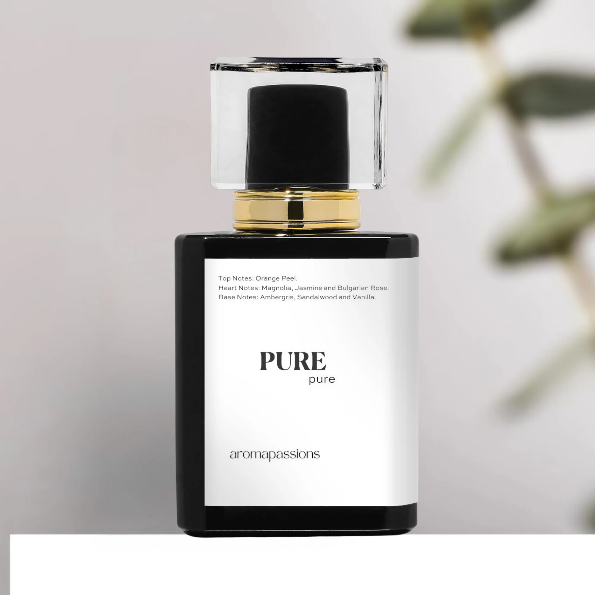 PURE | Inspired by Creed LOVE IN WHITE | Pheromone Perfume for Women | Extrait De Parfum | Long Lasting Dupe Clone Perfume Cologne