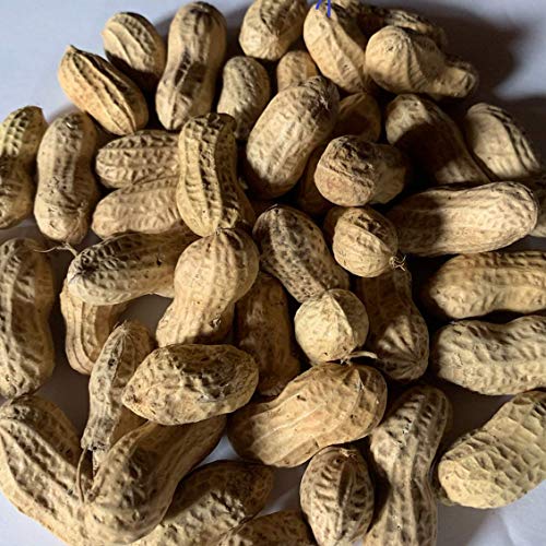 Peanuts (in-The-Shell) Bird Feed - 10 lb (2-5lb. pkg.)