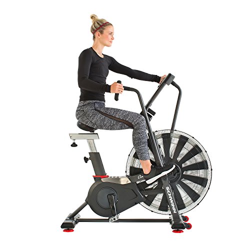 Schwinn Airdyne Bike Series